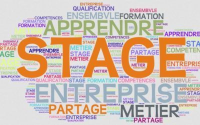 4° – Stage en entreprise année de 3°