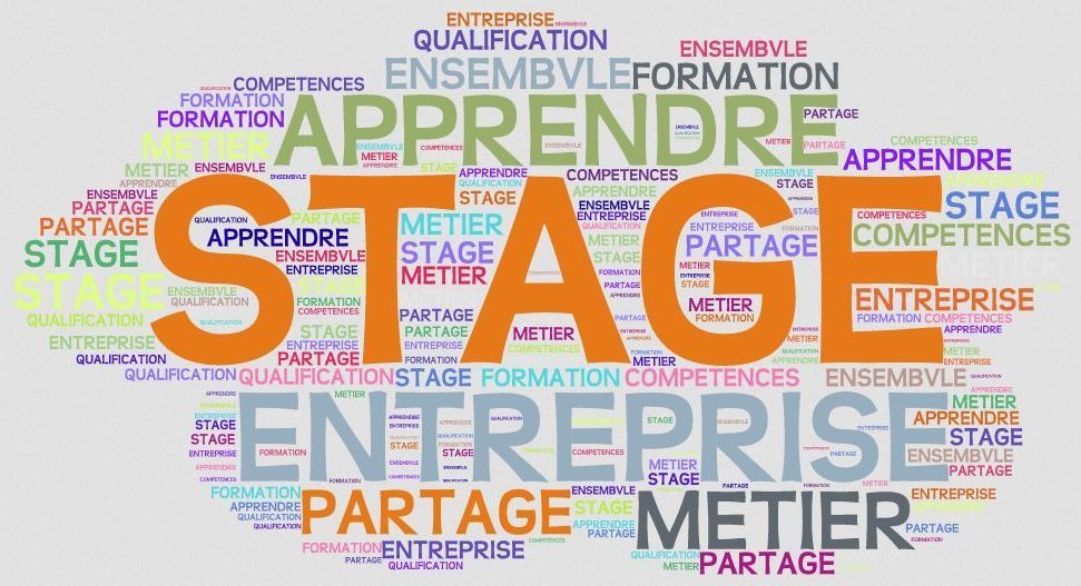 4° – Stage en entreprise année de 3°