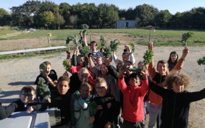 Visite à la ferme « Entre chèvre et choux » des classes de 6ème