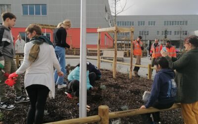 Le nouvel aménagement du fond de la cours est terminé.