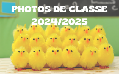 Protégé : Photos de classe – Édition 2024/2025