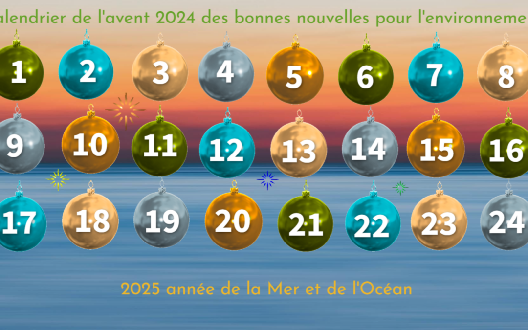 Calendrier de l’avent des bonnes nouvelles pour l’environnement